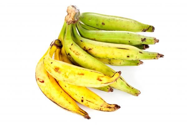 Banane plantain
